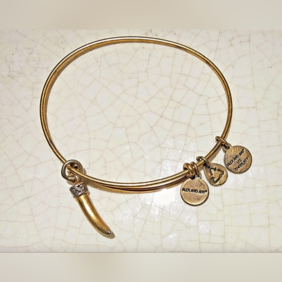 Alex & Ani bronze tone horn vitality adjustable bangle bracelet - Picture 1 of 3